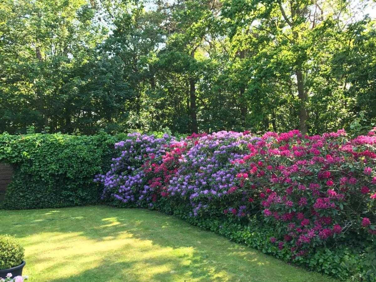 Trouville Bed & Breakfast Hornbæk 外观 照片